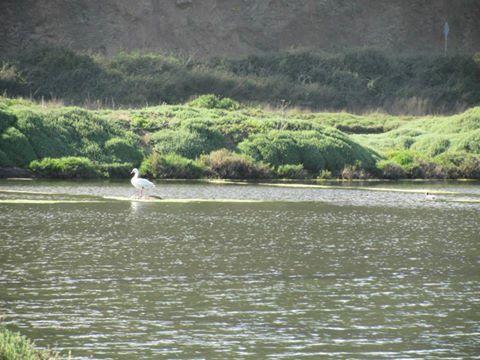 Cabanas Don Dago Cáhuil Dış mekan fotoğraf