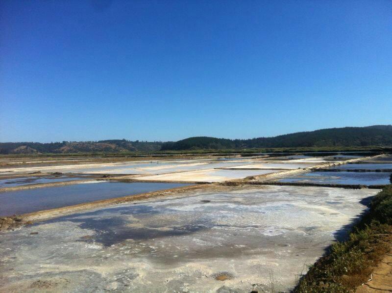 Cabanas Don Dago Cáhuil Dış mekan fotoğraf